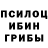 Галлюциногенные грибы Psilocybe Ika Iya