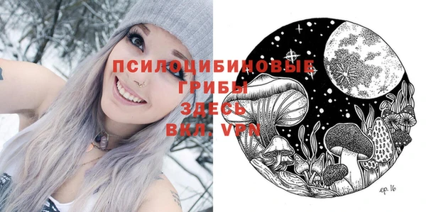мяу мяу мука Абаза