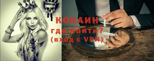 шишки Михайлов