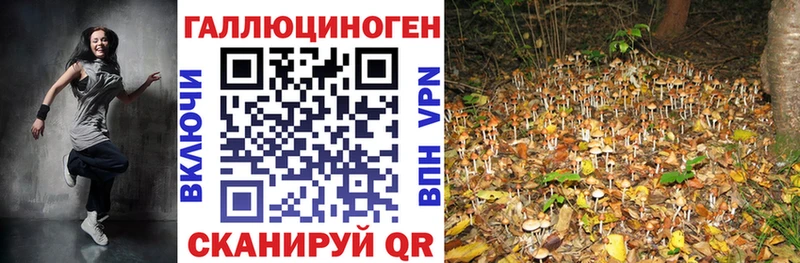 Псилоцибиновые грибы мухоморы  купить   Цоци-Юрт 